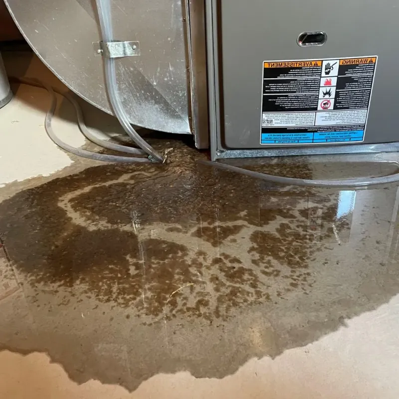 Pipe Burst and Leak Restoration in Hildale, UT