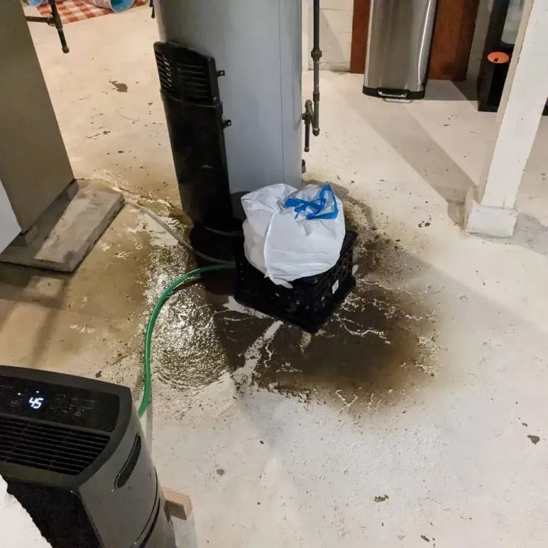 Sewage Backup Cleanup Service in Hildale, UT